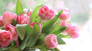 8 марта, женский день, womens Day, международный женский день, подарок на 8 марта, поздравление с 8 марта, прикольное поздравление с 8 марта